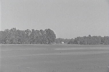 Negative - Laanecoorie - Reservoir, Allan Doney, 1950 -1970