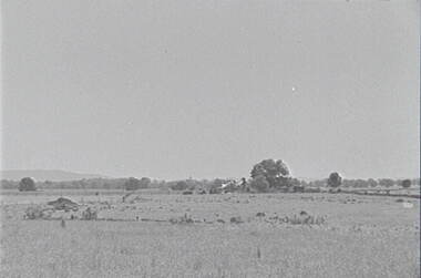 Negative - Redesdale - Farm - Buildings, Allan Doney, 1950 -1970