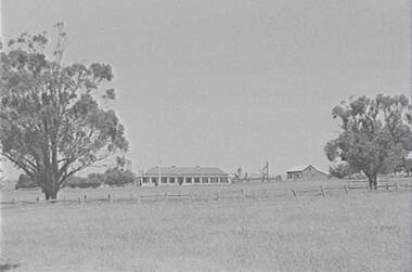 Negative - Redesdale - Farm - Buildings, Allan Doney, 1950 -1970