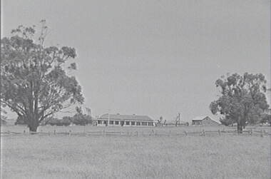 Negative - Redesdale - Farm - Buildings, Allan Doney, 1950 -1970
