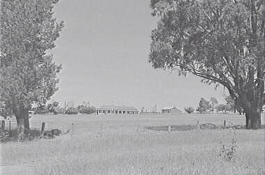 Negative - Redesdale - Farm - Buildings - Trees, Allan Doney, 1950 -1970