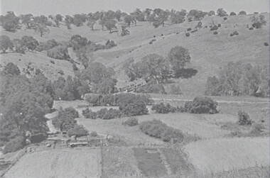 Negative - Mia Mia - Rural Scene - Hills - Trees - Bridge, Allan Doney, 1950 -1970