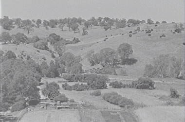 Negative - Mia Mia - Rural Scene - Hills - Trees - Bridge, Allan Doney, 1950 -1970
