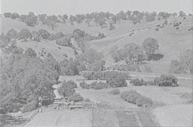 Negative - Mia Mia - Rural Scene - Hills - Trees - Bridge, Allan Doney, 1950 -1970