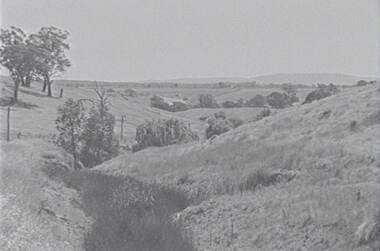 Negative - Mia Mia - Rural Scene - Hills - Trees, Allan Doney, 1950 -1970