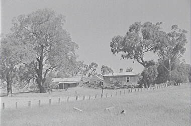Negative - Mia Mia - Farm - Buildings - Trees, Allan Doney, 1950 -1970