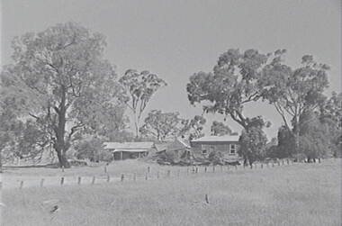 Negative - Mia Mia - Farm - Buildings - Trees, Allan Doney, 1950 -1970