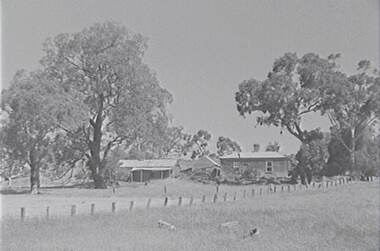 Negative - Mia Mia - Farm - Buildings - Trees, Allan Doney, 1950 -1970