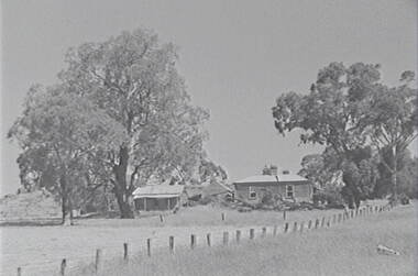 Negative - Mia Mia - Farm - Buildings - Trees, Allan Doney, 1950 -1970