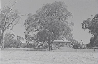 Negative - Mia Mia - Farm - Buildings - Trees, Allan Doney, 1950 -1970