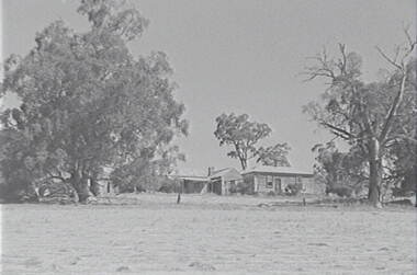Negative - Mia Mia - Farm - Buildings - Trees, Allan Doney, 1950 -1970