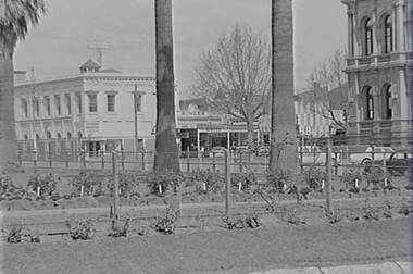 Negative - Conservatory Gardens Bendigo - Law Courts Bendigo - Victorian Producers, Allan Doney, 1950 -1970
