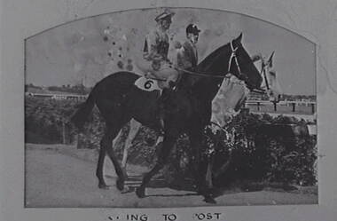 Negative - Race Horses, Allan Doney, 1950 -1970