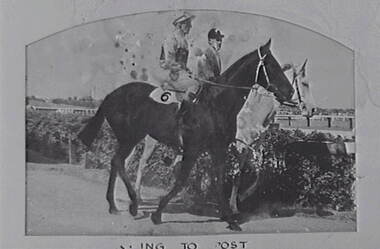 Negative - Race Horses, Allan Doney, 1950 -1970