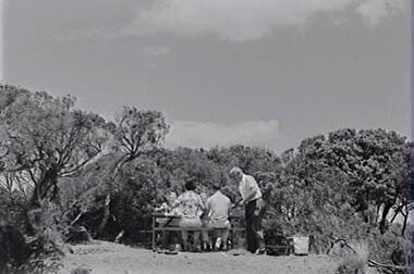 Negative - Point Lonsdale - Picnic Area - People, Allan Doney, 1950 -1970
