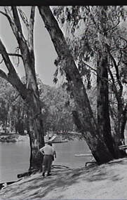 Negative - Echuca - River - Paddle Steamers, Allan Doney, 1950 -1970