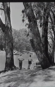 Negative - Echuca - River - Paddle Steamers, Allan Doney, 1950 -1970