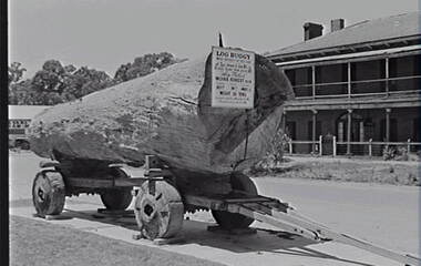 Negative - Echuca - Log Buggy - House - Evans Saw Mill, Allan Doney, 1950 -1970