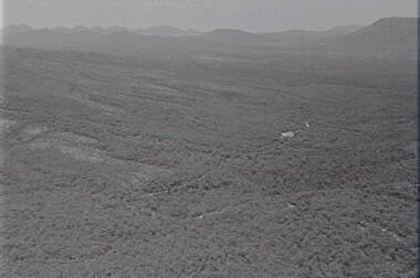 Negative - Mt Victory - Hills - Trees, Allan Doney, 1950 -1970