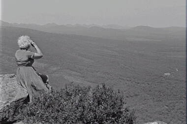 Negative - Mt Victory - Lookout - Mrs Doney - Hills - Trees, Allan Doney, 1950 -1970