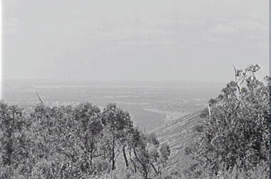 Negative - Mt Victory - Hills - Trees, Allan Doney, 1950 -1970