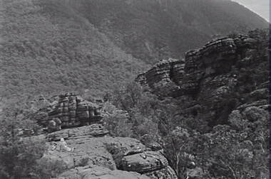 Negative - Wonderland - Hills - Rock Formations - Trees - Mrs Doney, Allan Doney, 1950 -1970