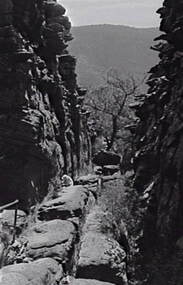 Negative - Pinnacles - Rock Formations - Mrs Doney, Allan Doney, 1950 -1970