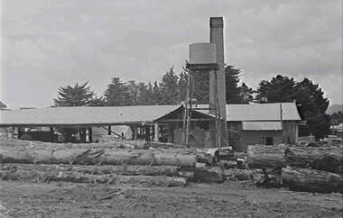 Negative - Stawell - Timber Industries - Logs, Allan Doney, 1950 -1970