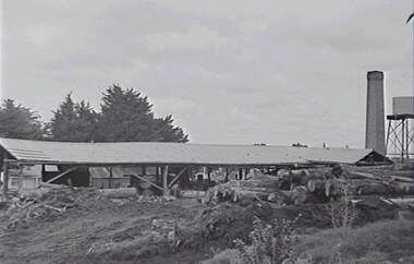 Negative - Stawell - Timber Industries - Logs, Allan Doney, 1950 -1970