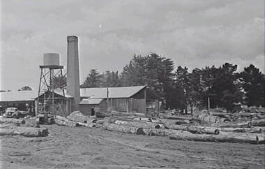 Negative - Stawell - Timber Industries - Logs, Allan Doney, 1950 -1970