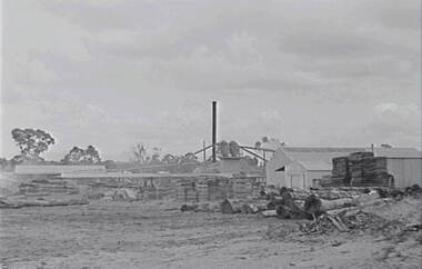 Negative - Stawell - Timber Industries - Logs - Timber Stacks, Allan Doney, 1950 -1970