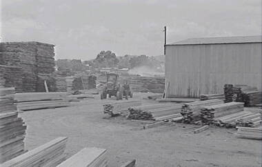 Negative - Stawell - Timber Industries - Timber Stacks, Allan Doney, 1950 -1970