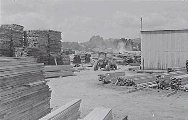 Negative - Stawell - Timber Industries - Timber Stacks, Allan Doney, 1950 -1970