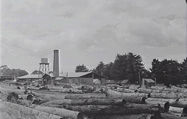 Negative - Stawell - Timber Industries - Logs, Allan Doney, 1950 -1970