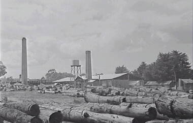 Negative - Stawell - Timber Industries - Logs, Allan Doney, 1950 -1970