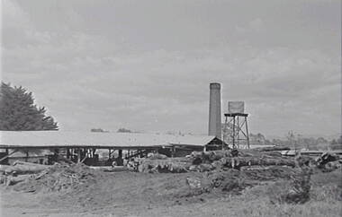 Negative - Stawell - Timber Industries - Logs, Allan Doney, 1950 -1970