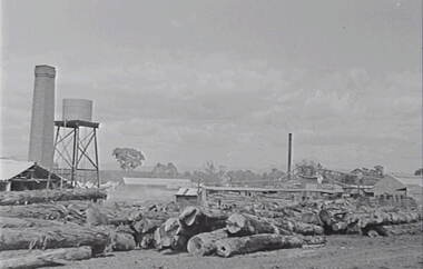 Negative - Stawell - Timber Industries - Logs, Allan Doney, 1950 -1970
