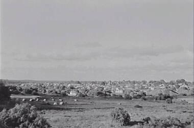 Negative - Urban Scene - Mullock Heaps - Campsite, Allan Doney, 1950 -1970