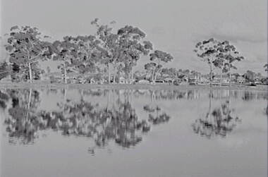 Negative - Lake Neangar Eaglehawk - Housing, Allan Doney, 1950 -1970
