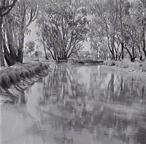 Negative - Gunbower - River, Allan Doney, 1950 -1970