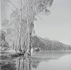 Negative - Echuca - Paddle Steamers - Bridge, Allan Doney, 1950 -1970