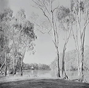 Negative - Echuca - Wharf, Allan Doney, 1950 -1970