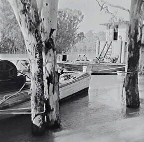 Negative - Echuca - Paddle Steamers, Allan Doney, 1950 -1970