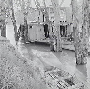 Negative - Echuca - Paddle Steamer - Edwards - Boat, Allan Doney, 1950 -1970