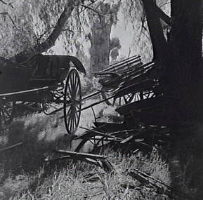 Negative - Buggies, Allan Doney, 1950 -1970