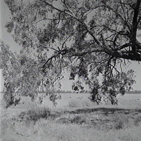 Negative - Boort - Lake, Allan Doney, 1950 -1970