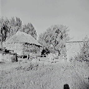 Negative - Trentham - Hay Stack, Allan Doney, 1950 -1970
