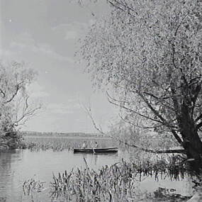 Negative - River - Row Boats, Allan Doney, 1950 -1970