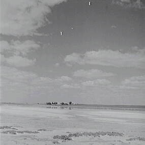 Negative - Lake Boga, Allan Doney, 1950 -1970