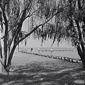 Negative - Lake Boga - Jetty, Allan Doney, 1950 -1970